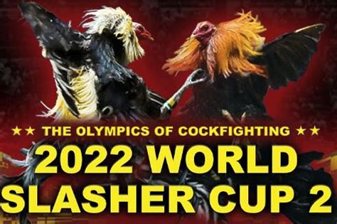 sabong international derby 2022|2 entries share 2022 World Slasher Cup 2 title .